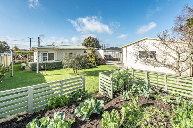 63 Totara Street Tawhero_22