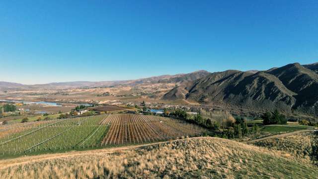 Views Across Orchards & Hills