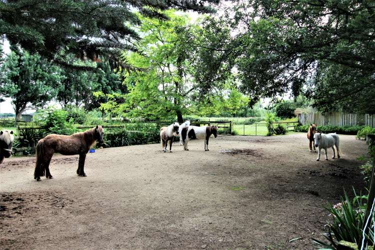 9 Hampson Street Woodville_20