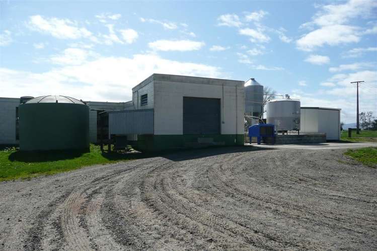 5 Overdale Road Putaruru_5