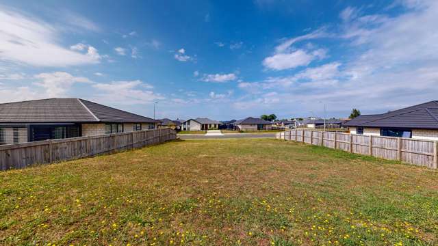 63 Murray Ward Drive Te Kauwhata_1