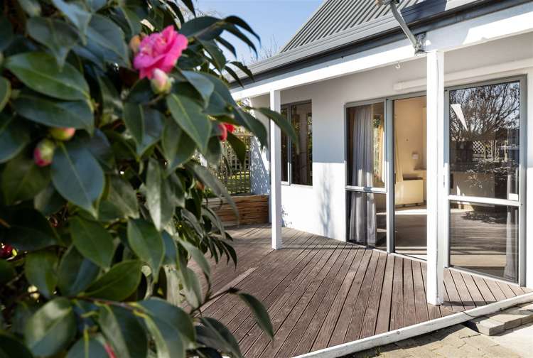 8 Regent Place Witherlea_6