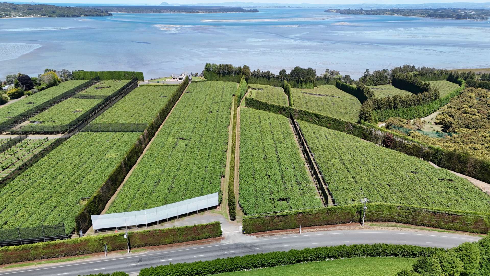 187 Athenree Road Athenree_0