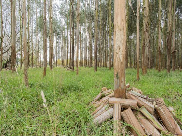 100 Fullers Road Woodend_21