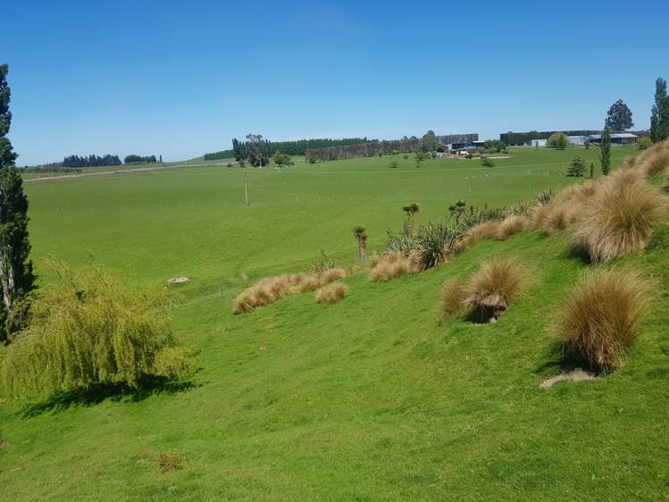 14 Hall Road Milton_4