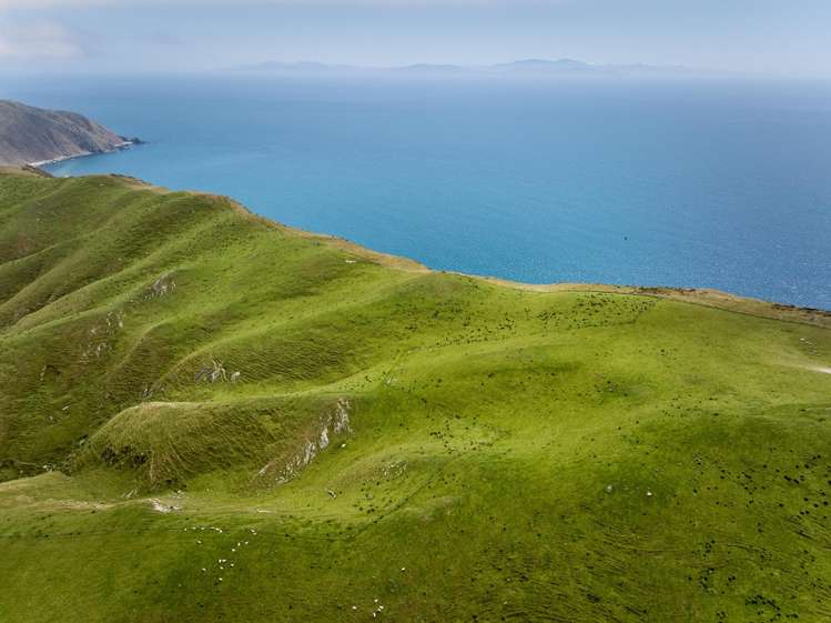 Lot 1 and 4 320 Boom Rock Road Ohariu Valley_9