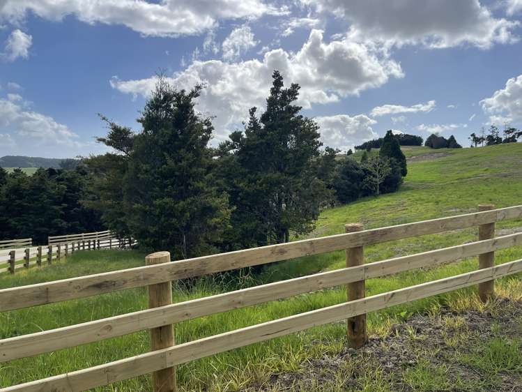 Mangawhai Bush Estate_5