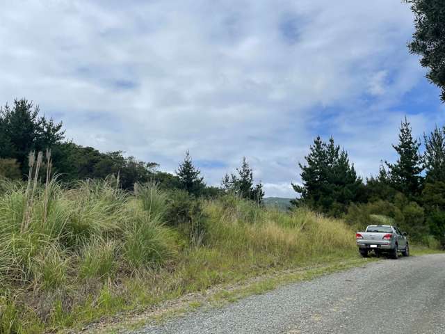 1 Omaunu Road Kaeo_1