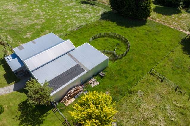 39 Kenningtons Road Havelock_4