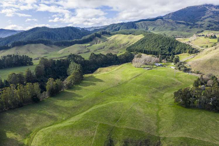 1015 Waitara Road Te Haroto_18