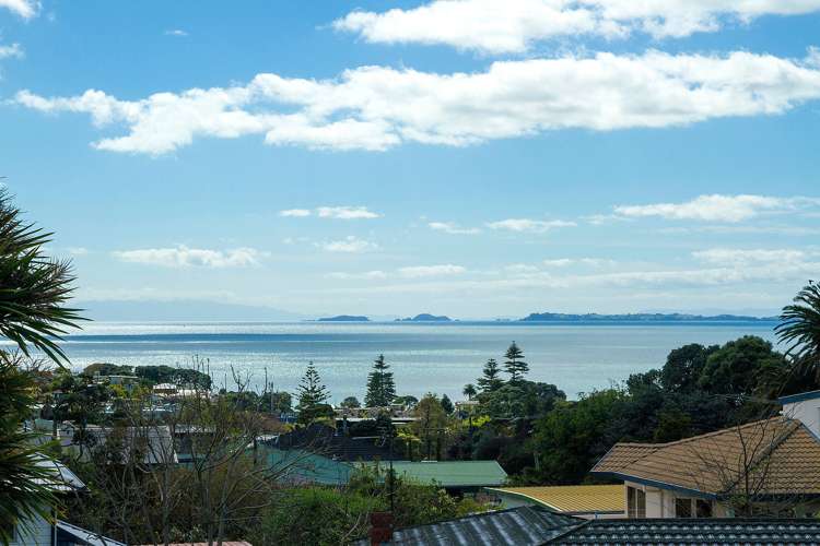 55 Hastings Road Mairangi Bay_18