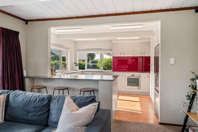 53 Moncur Drive Springfield_4