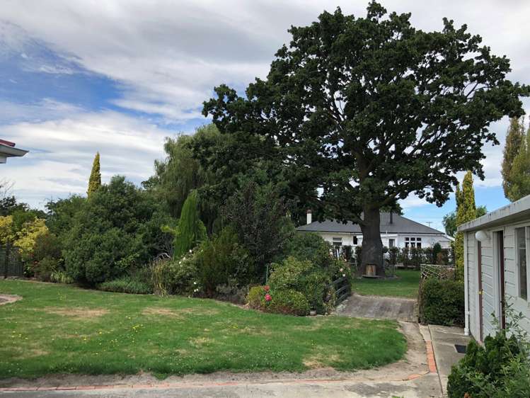 16 Conway Street Middlemarch_15