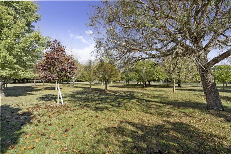 237 Te Whiti Road Masterton_31