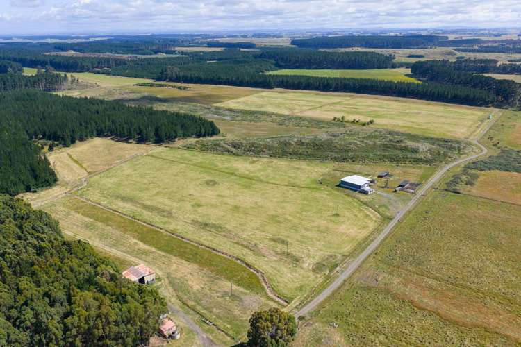 590 Brandon Hall Road Bulls_1