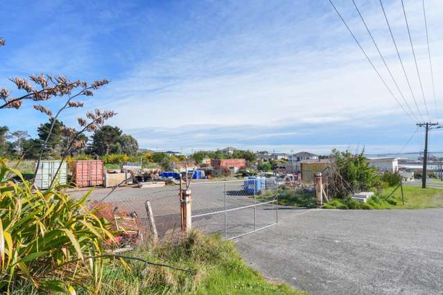 65 Suir Street Bluff_2