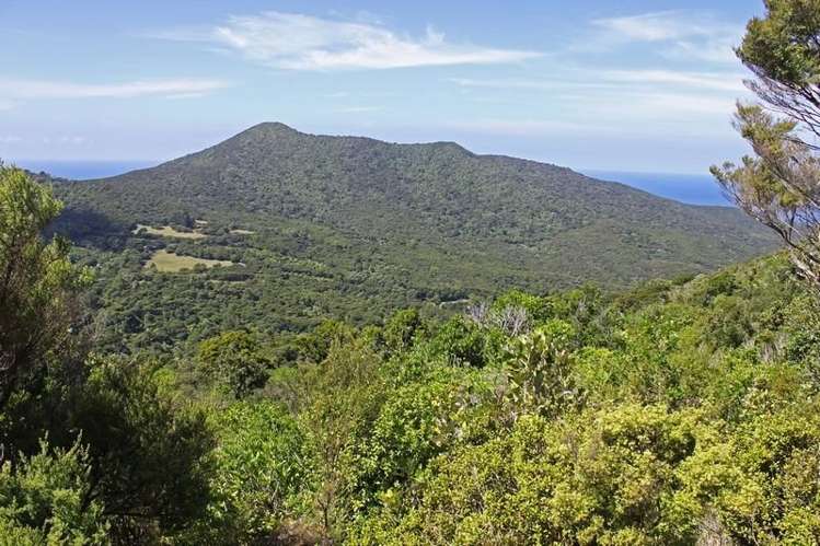 248 Rosalie Bay Road Great Barrier Island (Aotea Island)_8