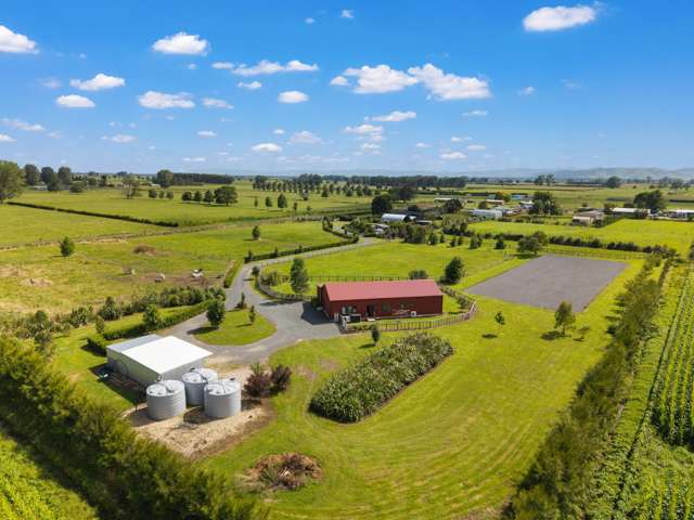 338 No 9 Road East Springdale_2