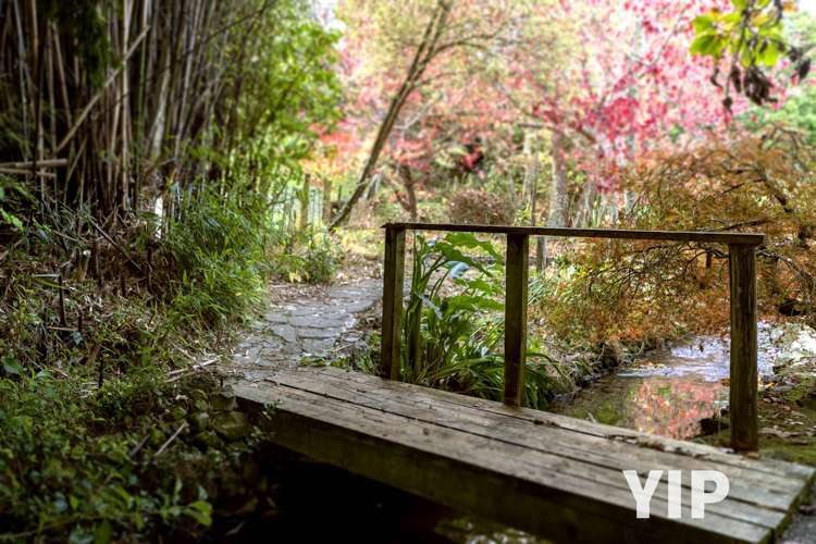 6 Lyndhurst Road Tawa_16