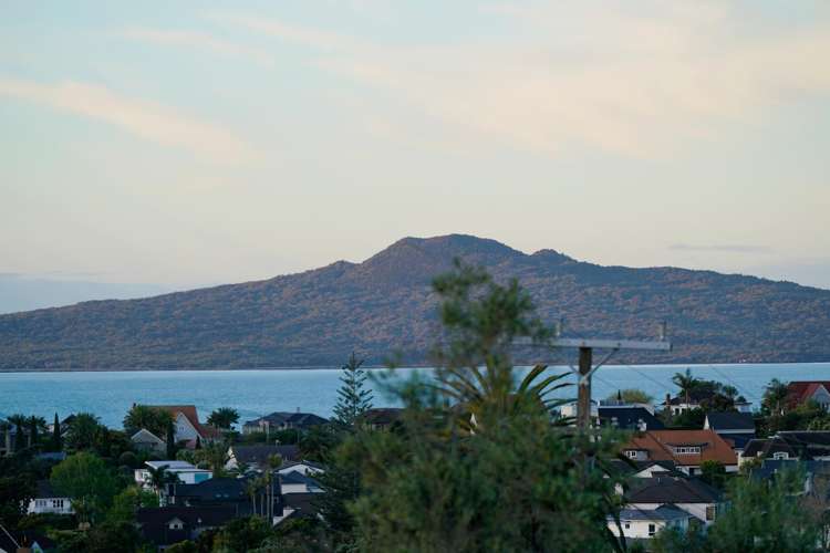 64 Codrington Crescent Mission Bay_2
