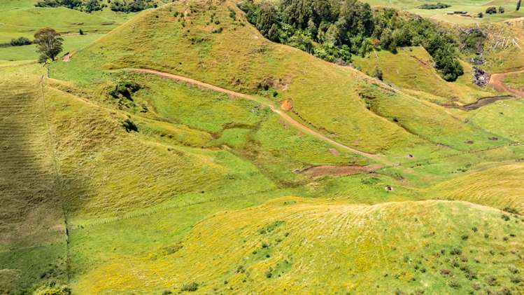 162 Standish Road Toko_5