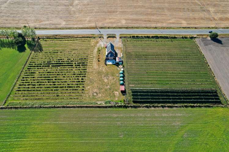 1686 Waimate Highway Makikihi_19