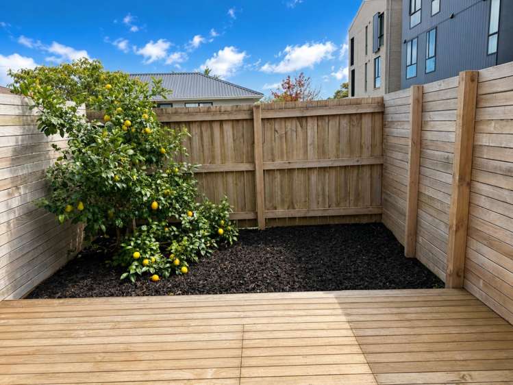 6/95 West Tamaki Road 10026_11