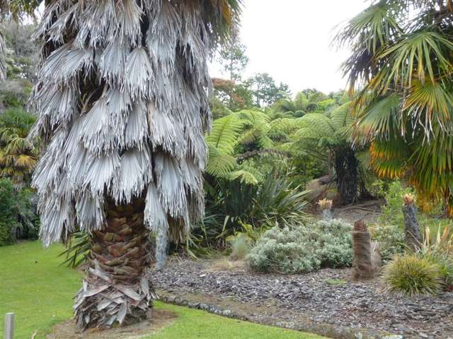 12 Rewa Rewa Vall Tairua_4