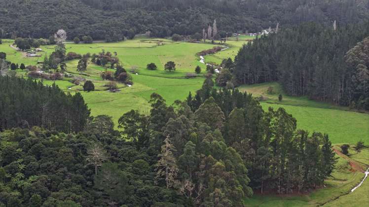 140 Kenana Road Mangonui Surrounds_8