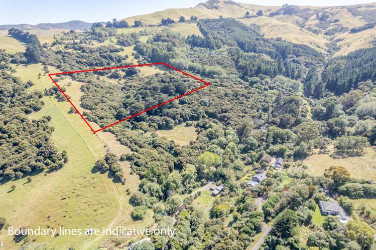 190 Okains Bay Road Robinsons Bay_10