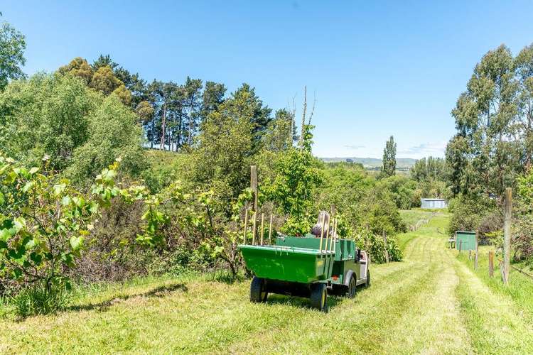 253A Kokotau Road Kokotau_41