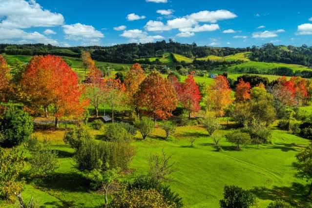 428a Blackbridge Road Dairy Flat_1