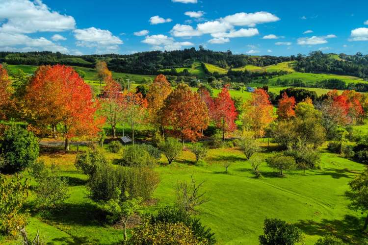 428a Blackbridge Road Dairy Flat_1