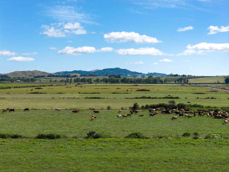 331 Kneebone Road Orini_10