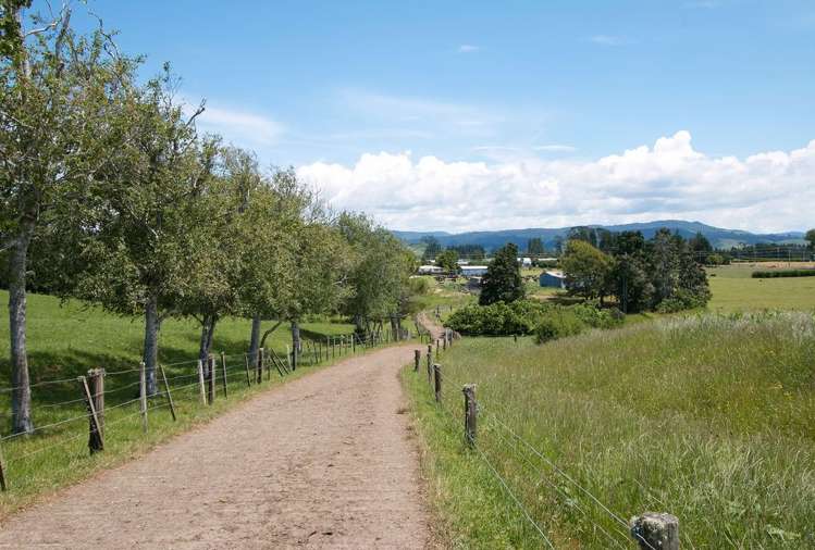 305 Waihi Beach Road Waihi_10