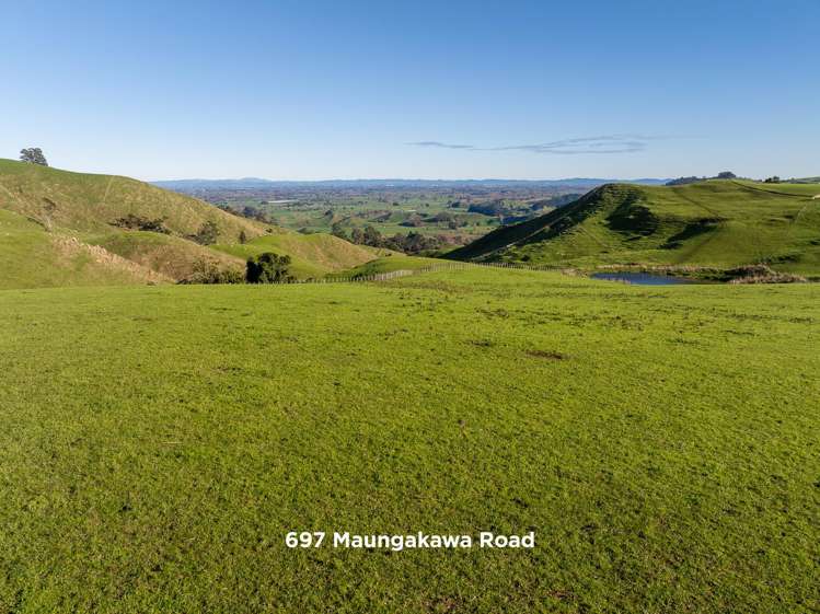 697 and 699 Maungakawa Road_5