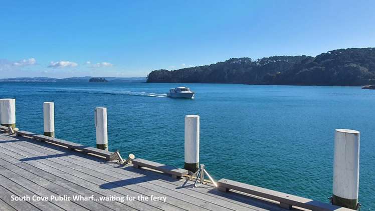 9 Woods Ridge Road Kawau Island_33