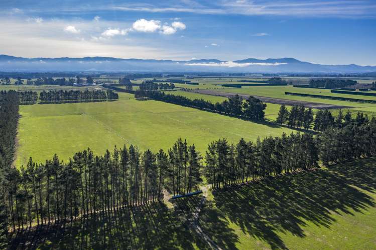 1197 Wolffs Road West Eyreton_5