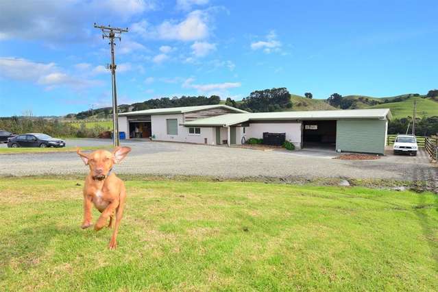 331 Pukapuka Road Warkworth_2