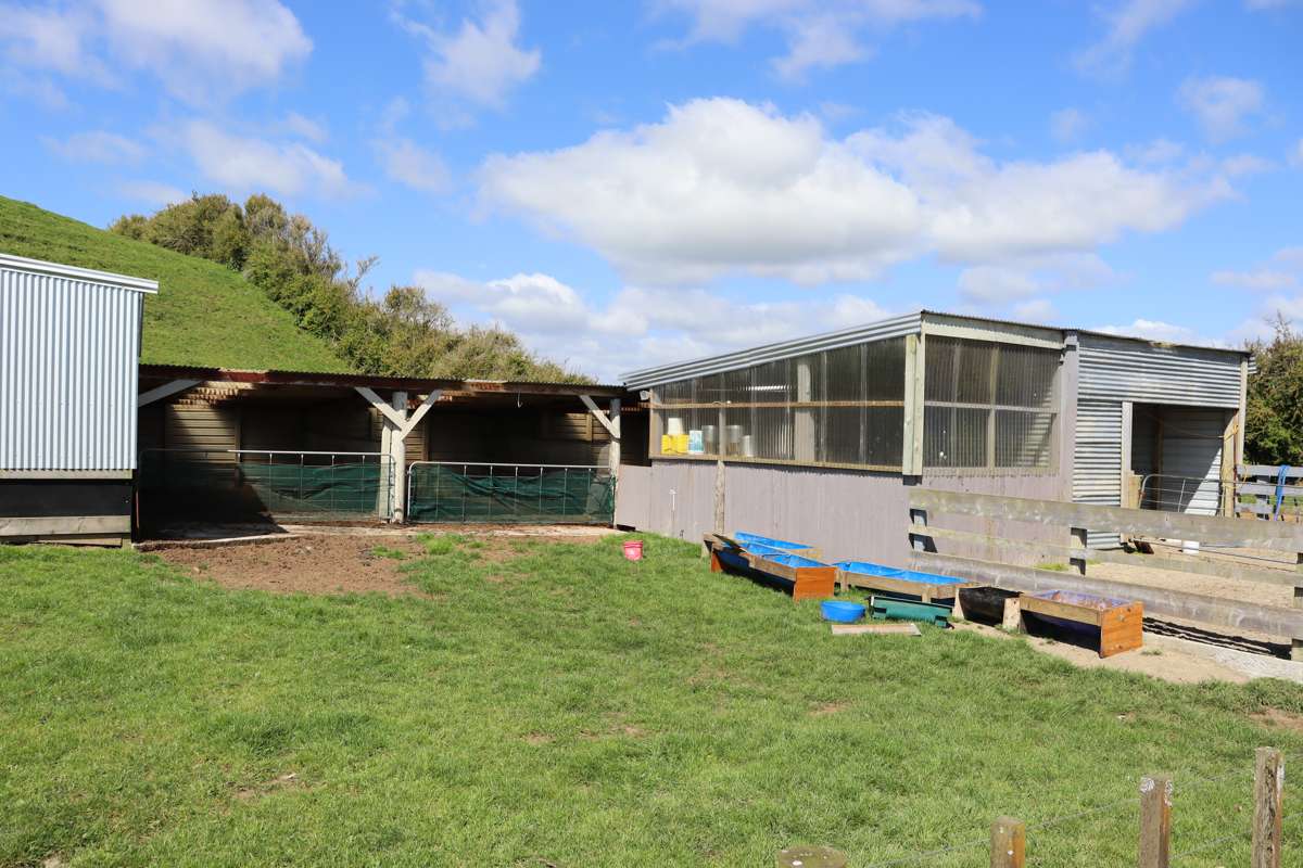 892 Tarata Road_2