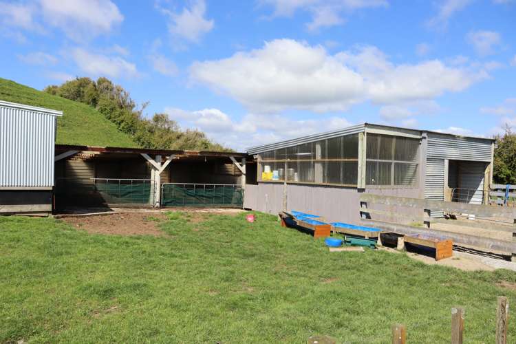 892 Tarata Road Kaimata_6