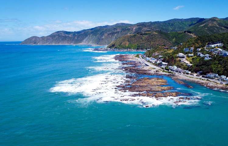 354 The Esplanade Island Bay_19