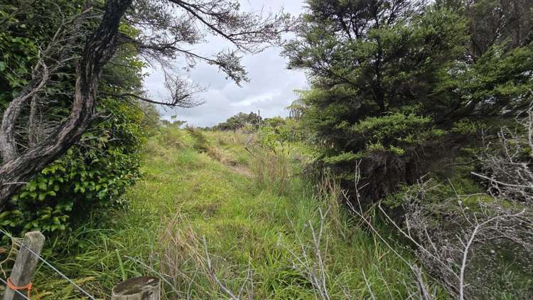540b Medland Road Great Barrier Island_23