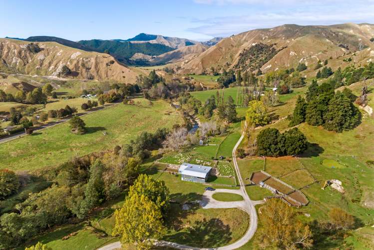 3643 Wharekopae Road Rere_27