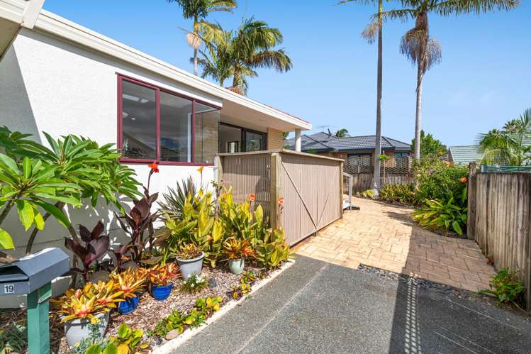 19 Palmgreen Court Stanmore Bay_19