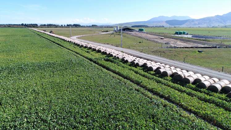 245 Selbie Road Lumsden Surrounds_7