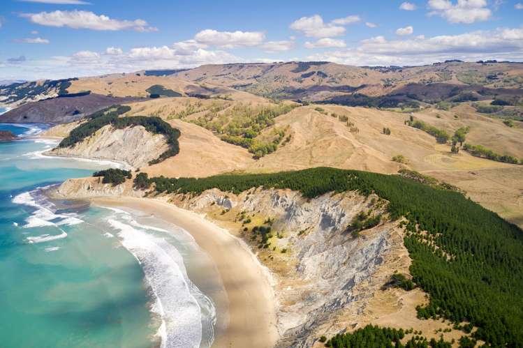 399 Te Apiti Road Waimarama_7