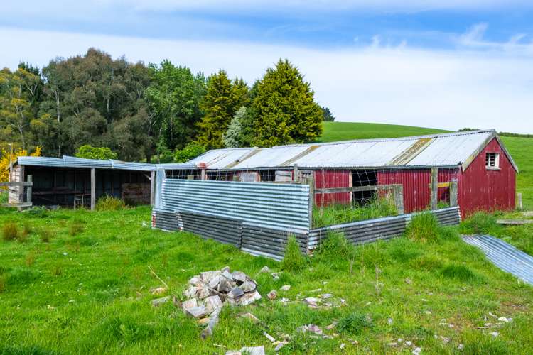 1174 Waimate Highway Otaio_20