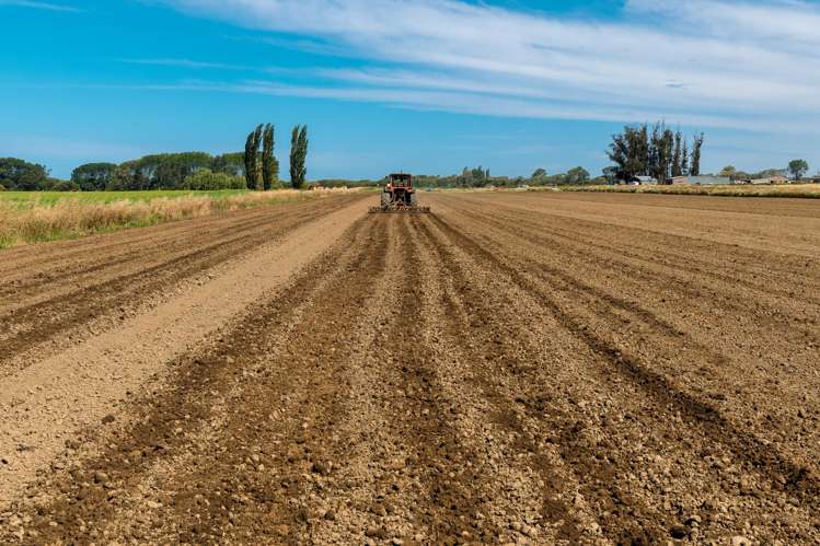 Bradshaws Road Waimate_14