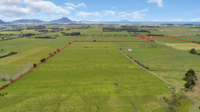 850 One Tree Point Road Ruakaka_4